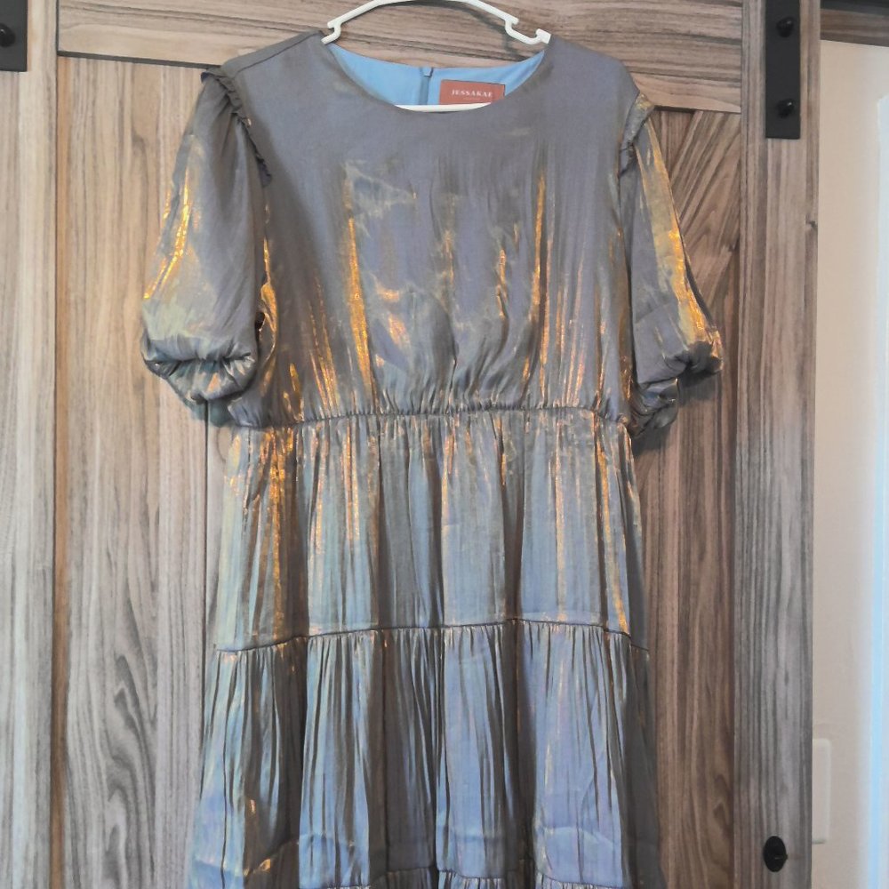 Gently Worn Francis Flute Dress from JessaKae